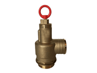PRESSURE RELIEF VALVE (PRV)